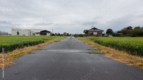 Summer country side view near Yoshinogari koen station, Japan