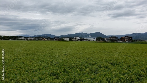 farm in rural area near yoshinogari koen station Japan