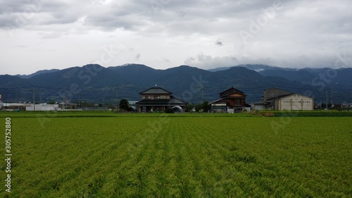 rural area near yoshinogari koen station, japan in summer