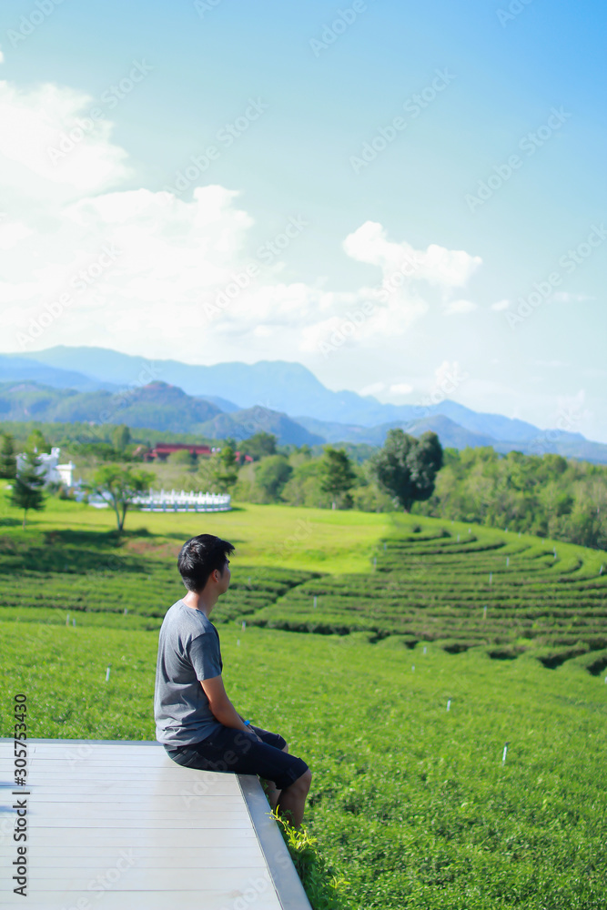 Back view of young man looking too Choui Fong tea plantation. - Chiang Rai Thailand.