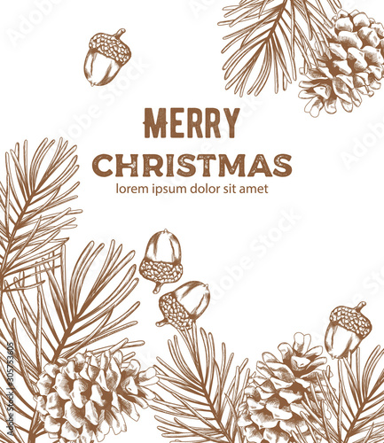 Merry christmas sketch style composition with nuts, pine cones and fir tree l...