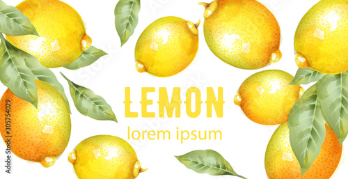Watercolor yellow lemons with green leaves. Isolated. Banner vector