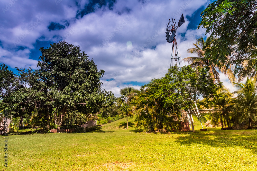 Fototapeta premium paisaje