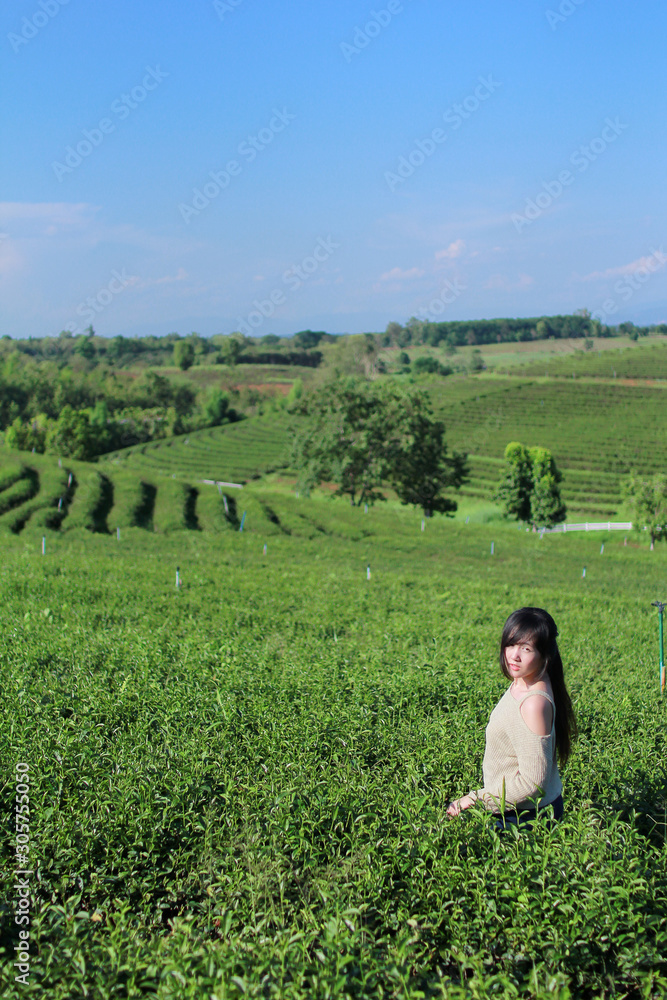 Young woman stand in the tea plantation surrounded by sky and mountain view. Choui Fong tea plantation at Chiangrai, Thailand. Young woman stand in the tea plantation surrounded by sky and mountain view. Choui Fong tea plantation at Chiangrai, Thailand.
