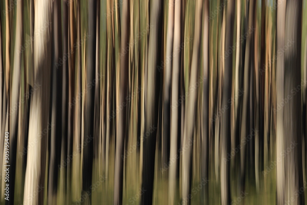 Obraz premium Wald abstrakt