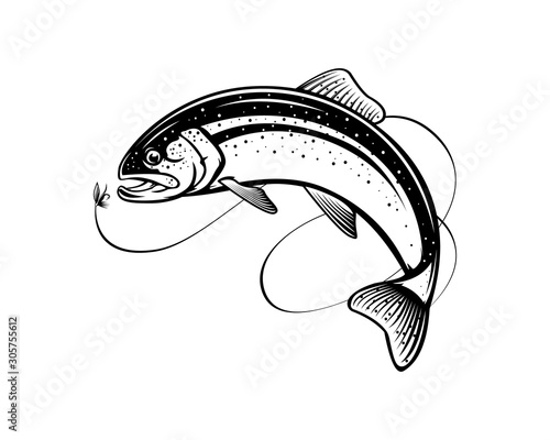 Rainbow trout jumping out water.Salmon isolated on white background. Concept art for horoscope, tattoo or colouring book.