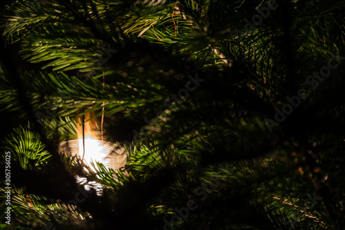 Candle in glass jar burns among the fir branches. Mystical night in forest.