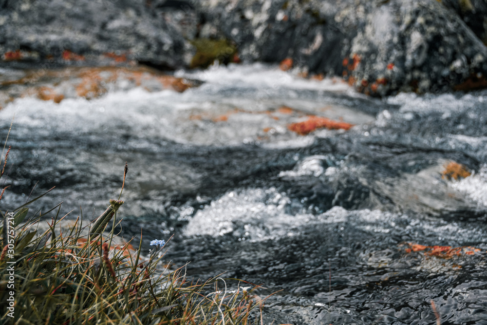 Strong mountain river. Rapid flow of stream among rocks. Blue stream of water seethes in rocks Strong mountain river. Rapid flow of stream among rocks. Blue stream of water seethes in rocks
