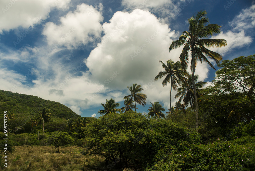 Carriacou Grenada