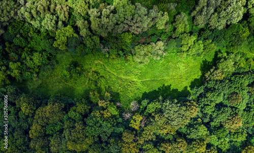 aerial forest view with meadow