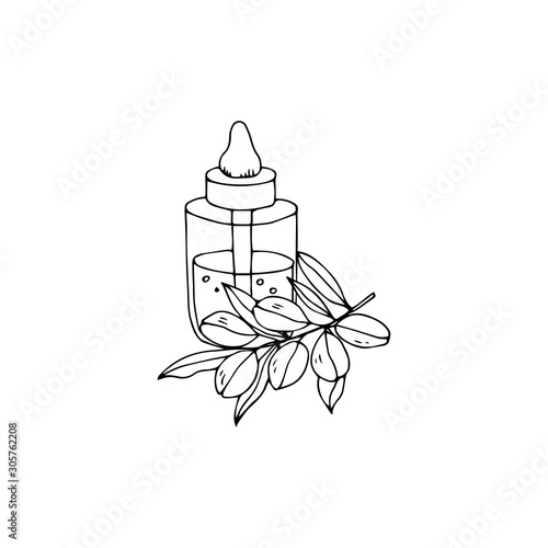 Argan oil outline vector illustration. Hand drawn bottle with organic products.