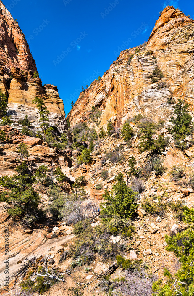 Landscape of Zion National Park along Pine Creek Landscape of Zion National Park along Pine Creek