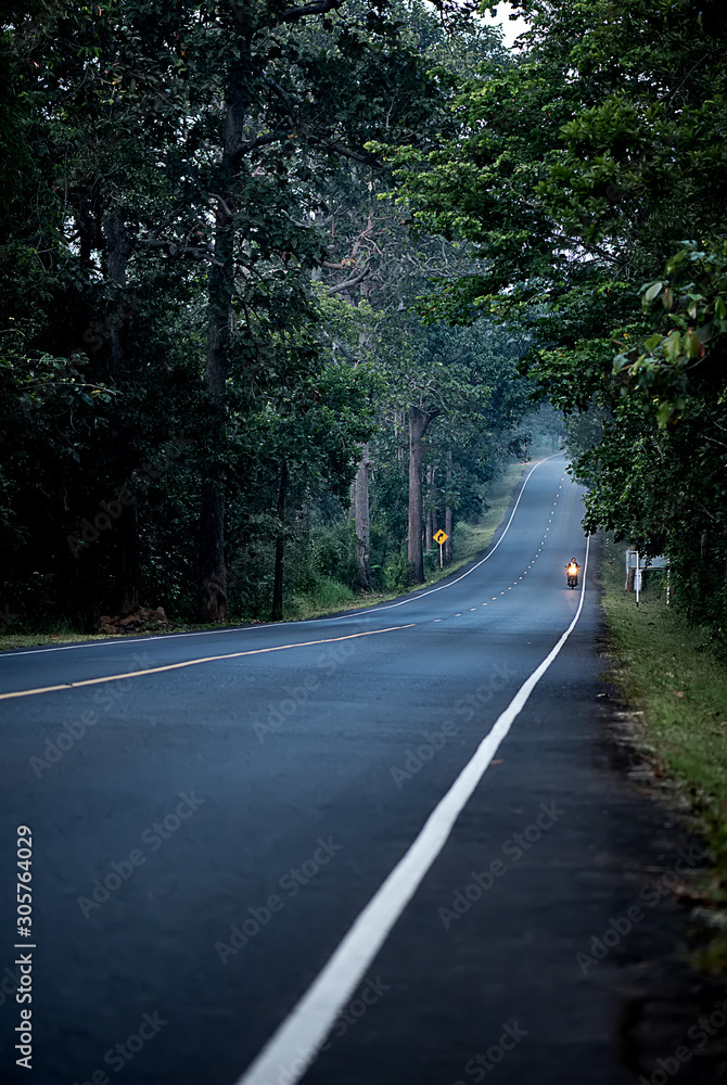 Forests on both sides of the asphalt road 