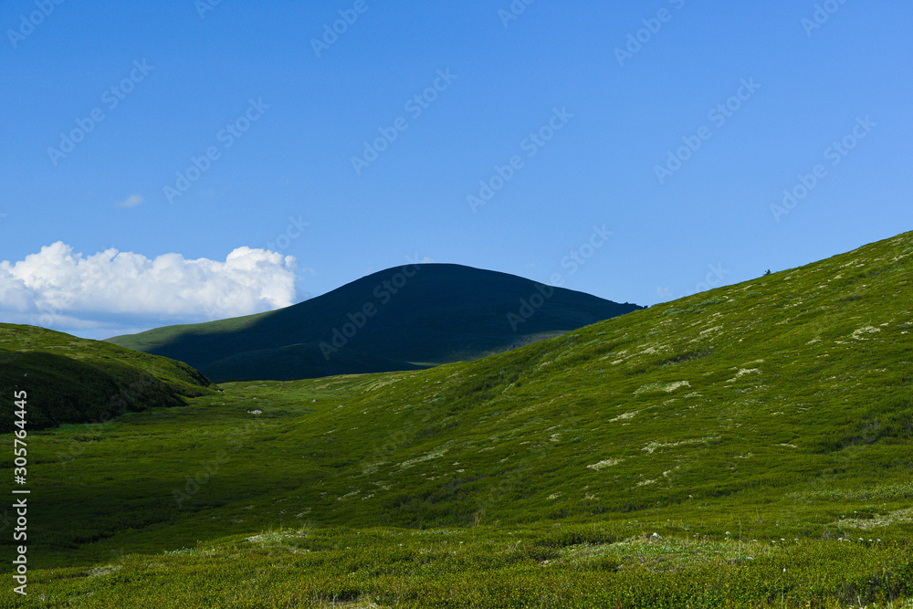 Gentle green hills. Mountain valley for pasture with soft slopes covered with green grass