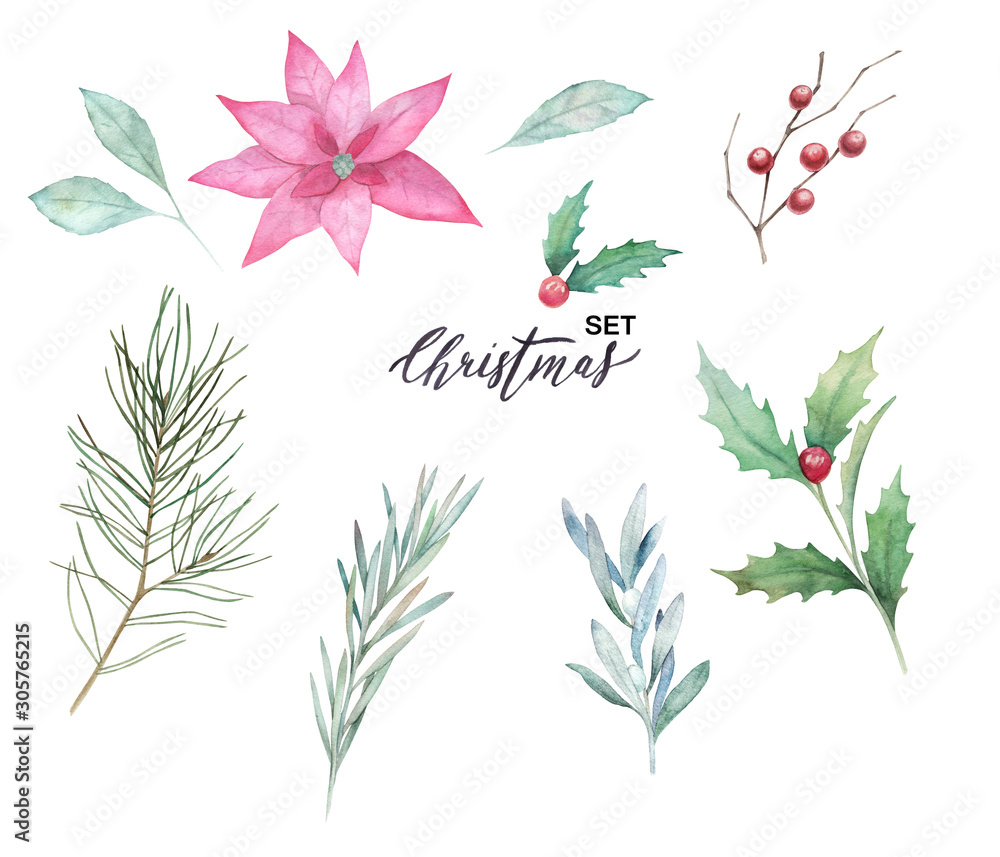 Watercolor set with christmas tree branch, mistletoe, rosemary, holly and poinsettia on white background. Hand drawn sketch illustration. Winter botanical collection Watercolor set with christmas tree branch, mistletoe, rosemary, holly and poinsettia on white background. Hand drawn sketch illustration. Winter botanical collection