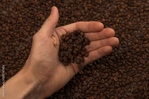 man holds coffee grains in his hand  against the background of a large number of beans