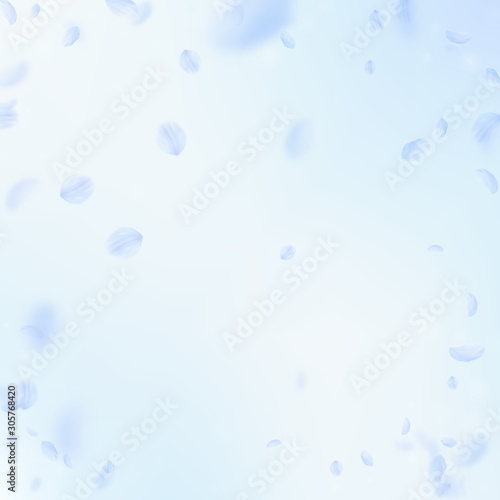 Light blue flower petals falling down. Amusing rom