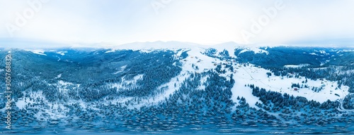 Spherical aerial snow-covered panorama of spruce trees © YouraPechkin