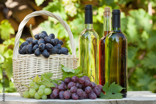 Various grapes and white wine