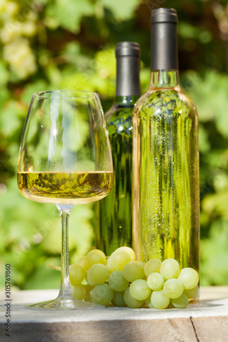 White grape and wine