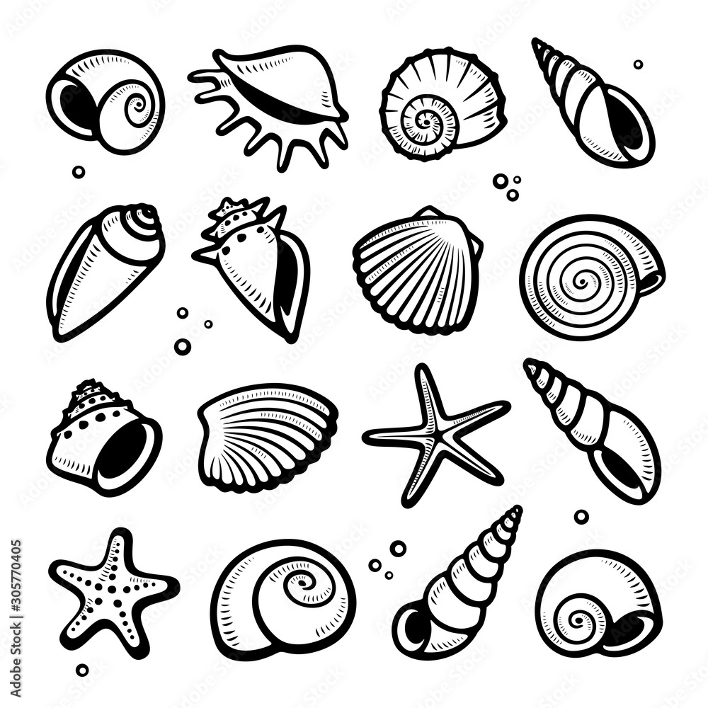 Seashells set. Collection seashells icons. Vector Seashells set. Collection seashells icons. Vector