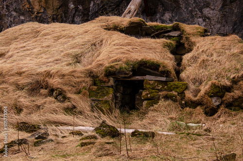 Old stone house destroyed ancient Viking overgrown with yellow dry grass photo