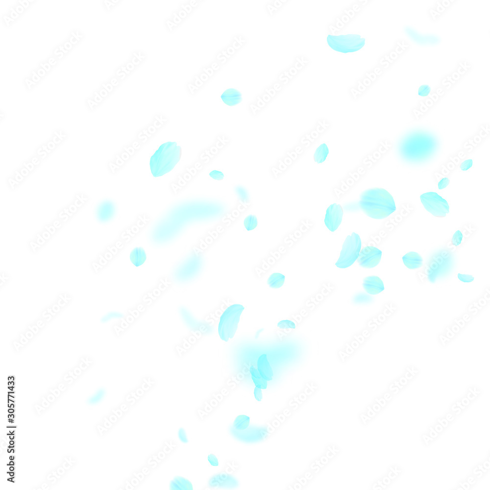 Turquoise flower petals falling down. Curious roma Turquoise flower petals falling down. Curious roma