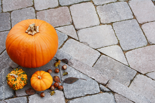 Fotografie Orange pumpkin and gourds with hazelnuts and autumn leaves