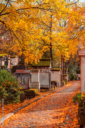 A view on autumn alley of the most famous cemetery of Paris Pere Lachaise, France. Tombs of various famous people. Golden autumn over eldest tombs.