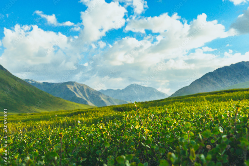 Green hills under blue cloudy sky. Mountain valley for pasture Green hills under blue cloudy sky. Mountain valley for pasture