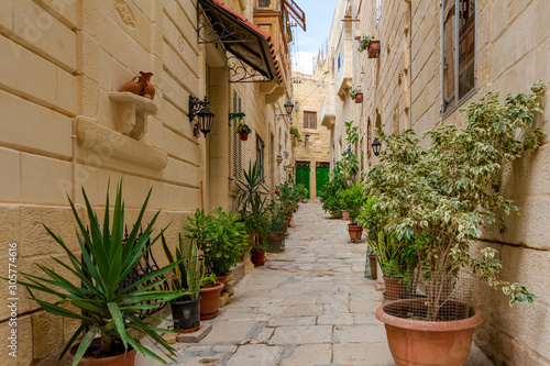 Narrow charming street in Birgu  Malta  with limestone medieval buildings and potted plants along the walls.