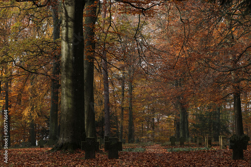 Friedhof Soldatenfriedhof photo