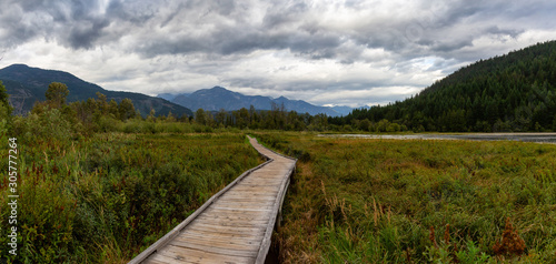 Fototapeta Naklejka Na Ścianę i Meble -  Wooden walking path on One Mile Lake with green vibrant plants and leafs. Picture taken in Pemberton, British Columbia (BC), Canada, on a cloudy summer day.