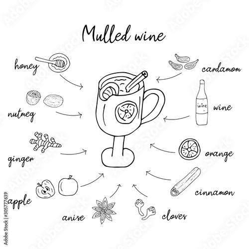 Mulled wine recipe in doodle style, hot drink in winter, poster for cafe, menu. Spice set, cardamom, cinnamon stick, nutmeg, anise star, honey, ginger, orange. Warming drink vector
