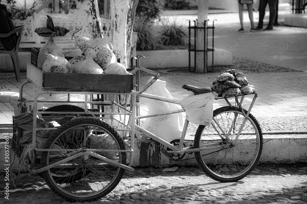 Food bycicle