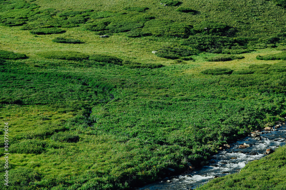 River in green hills. Swift stream in green meadow