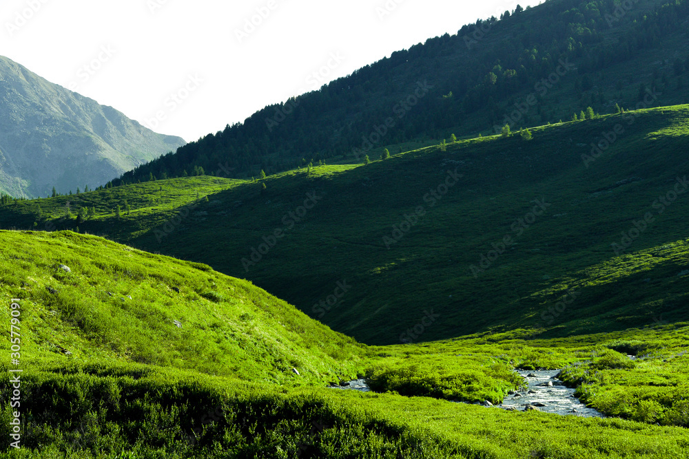 Gentle green hills. Mountain valley for pasture with soft slopes covered with green grass