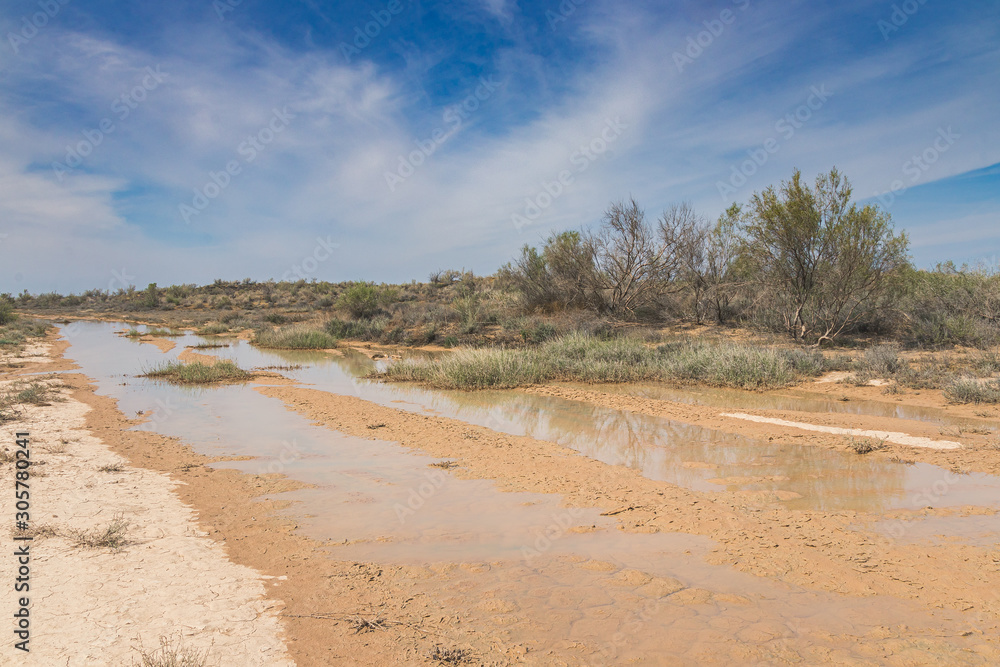 Flooded dirt road in the Kyzylkum Desert after May rains, southern Kazakhstan