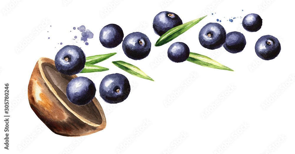 Bowl with ripe acai berry. Watercolor hand drawn horizontal illustration, isolated on white background Bowl with ripe acai berry. Watercolor hand drawn horizontal illustration, isolated on white background