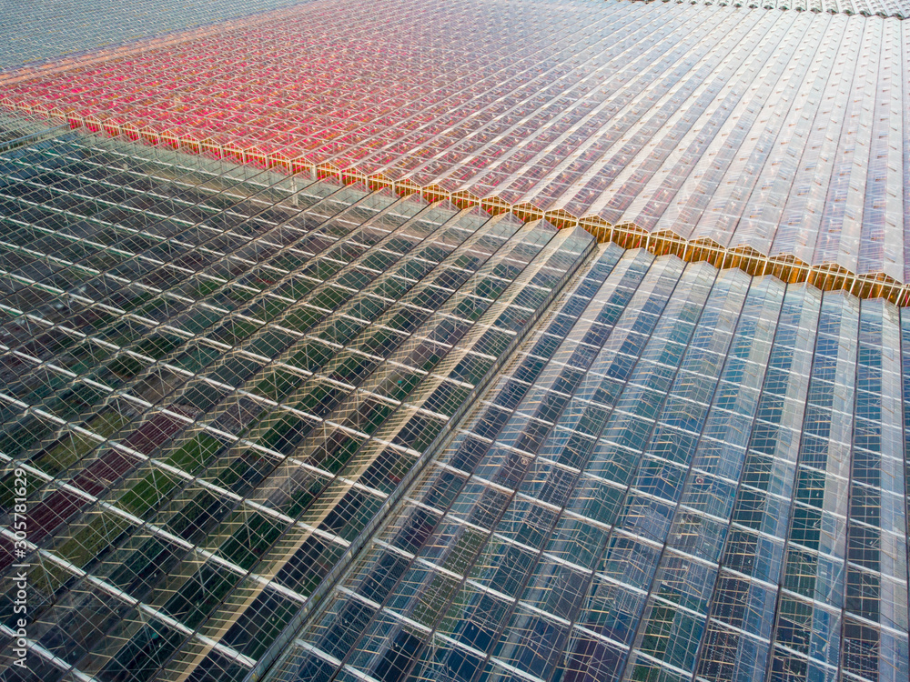 aerial view of a modern agricultural greenhouse