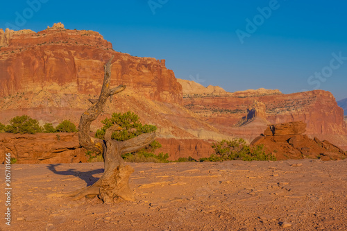 Capitol Reef National Park, south-central Utah, USA © Luis