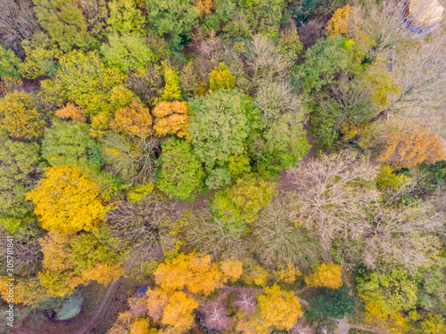 aerial view of beautiful colored autumn forest in the Netherlands © GAPS Photography