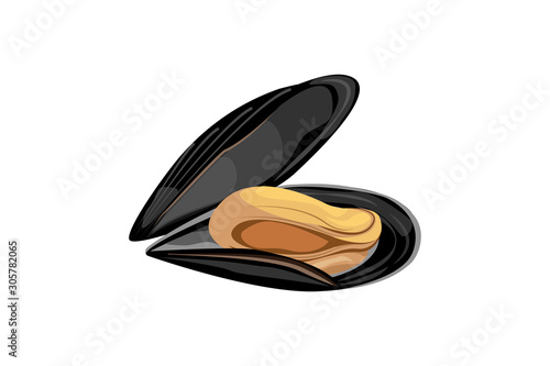 mussel in open shell on white background. Sea delicacy photo