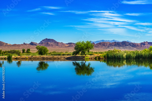 Tree reflections on a pond with mountain at Henderson Bird Viewing Preserve