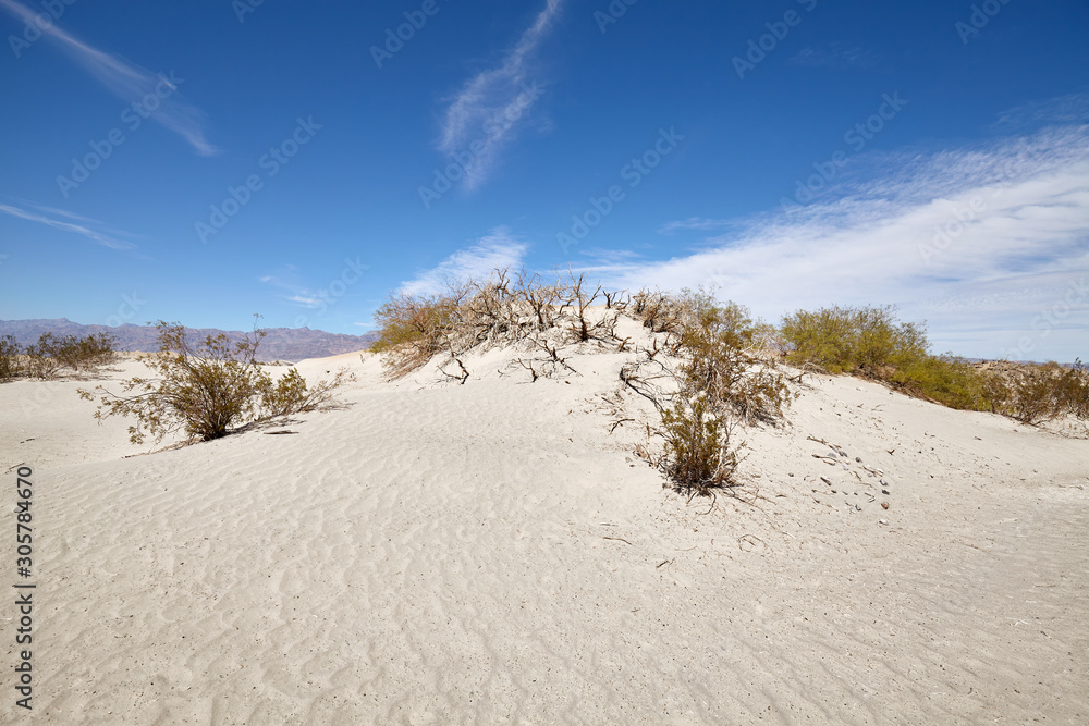Sand dunes in Death Valley National Park, California, USA. Sand dunes in Death Valley National Park, California, USA.