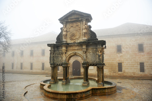 Renaissance fountain of Santa Maria and Seminary of San Felipe a foggy day in Baeza, Andalusia, Spain. photo