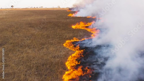 Climate change.Close-up aerial fly over view through the smoke of a grass fire in the Okavango Delta, caused by drought and climate change, Botswana photo