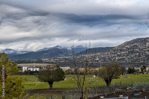 communal pasture with trees and mountains and clouds on top  in Collado Villalba, province of Madrid. Spain photo