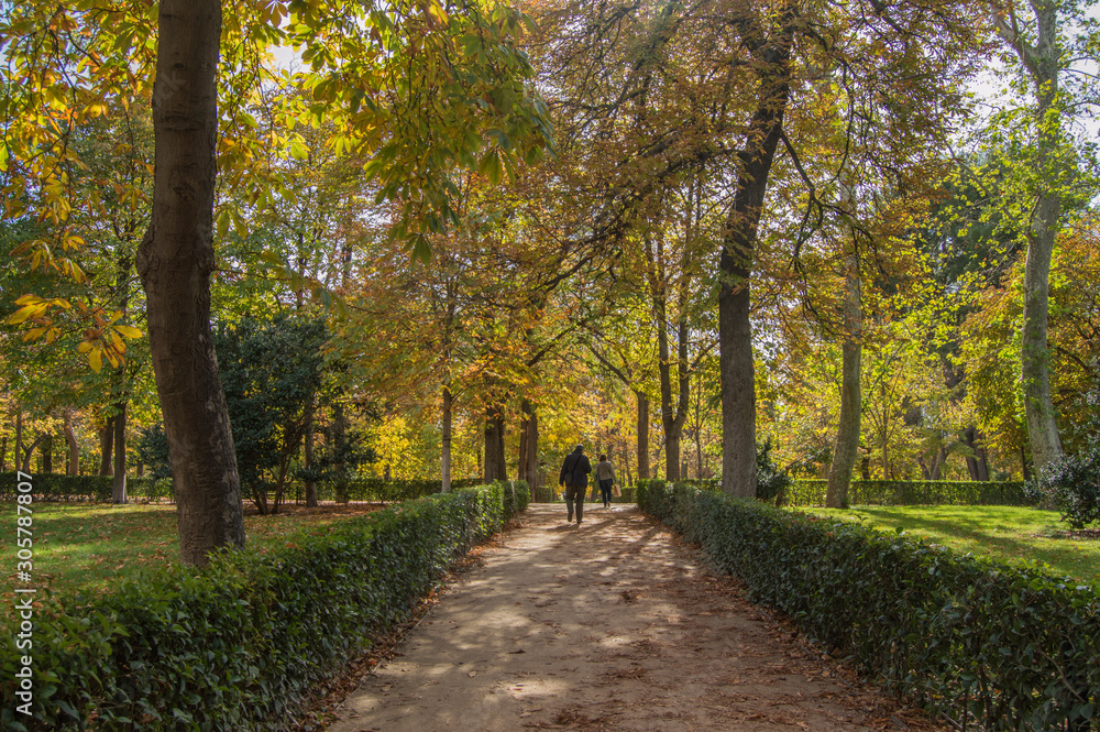 View of the gardens of the Retiro Park in Madrid. Spain