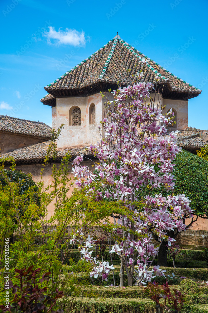 Flores en la Alhambra